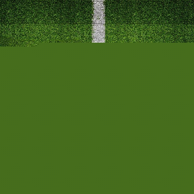 联赛第二年 联赛第二年