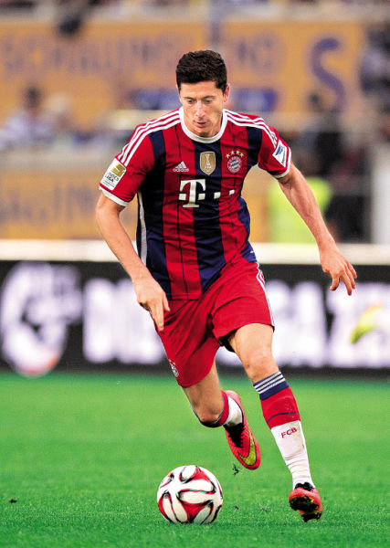 特里和现役 特里和现役