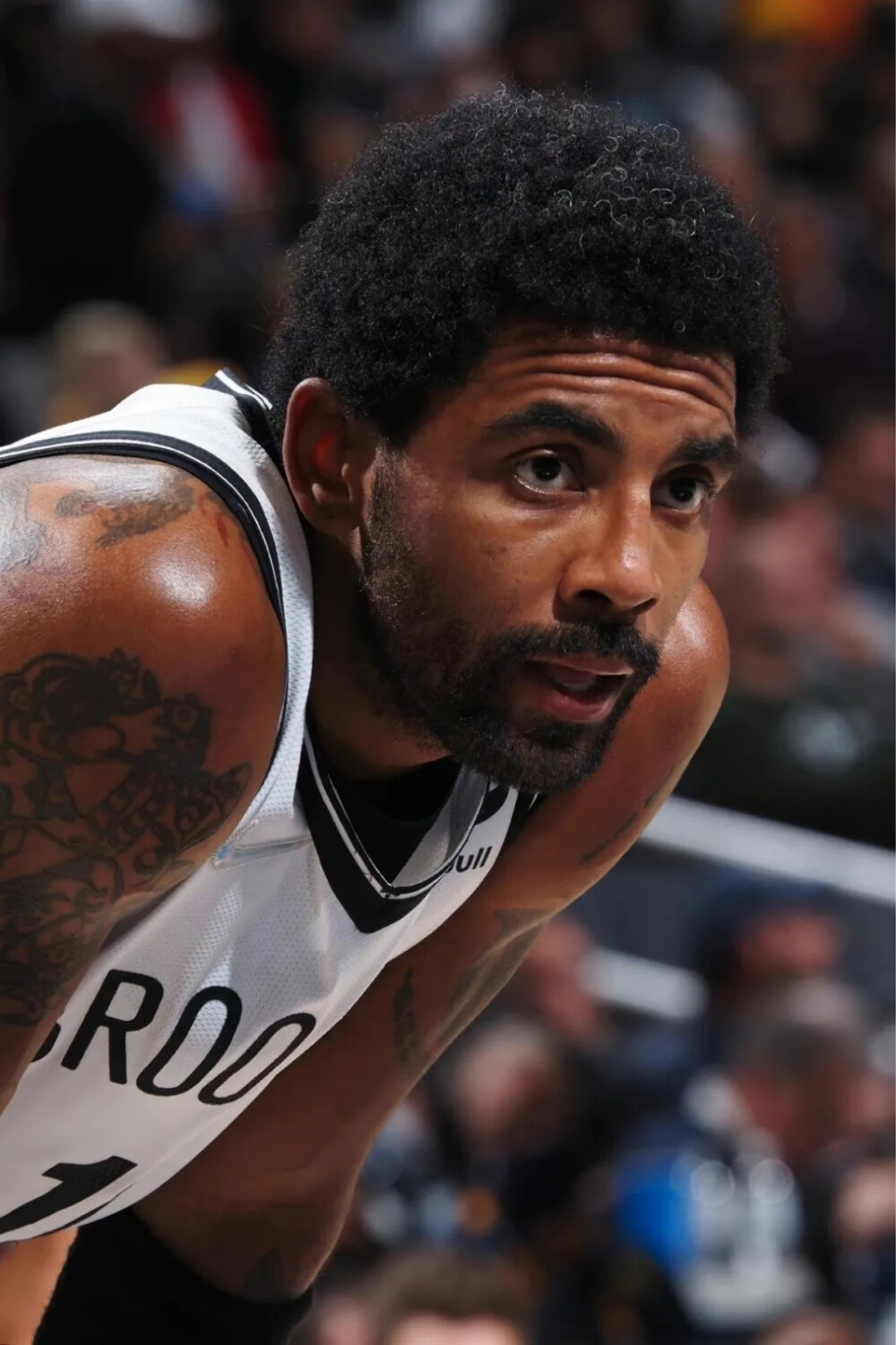 兰德的个人 兰德的个人