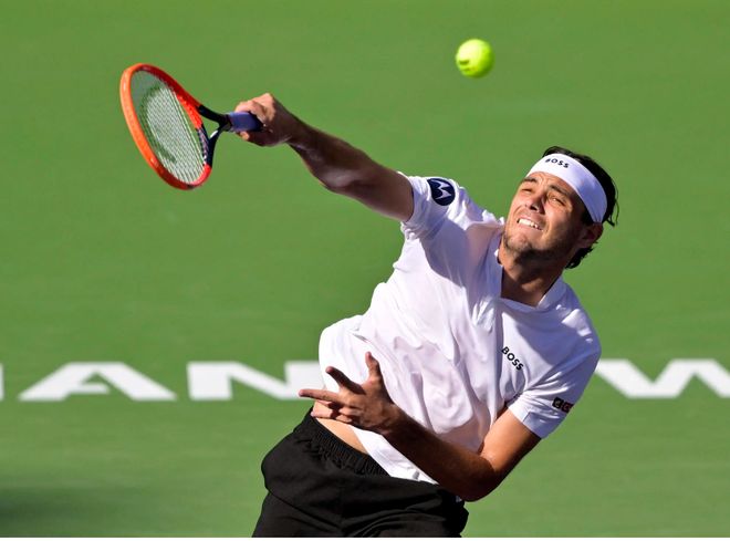 仅展示了莱 仅展示了莱